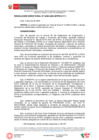 Vista preliminar de documento RESOLUCIÓN DIRECTORAL0202-2023 HR 000514-2023 (6)