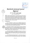 Vista preliminar de documento RGGR 313-2023-GRL-GGR