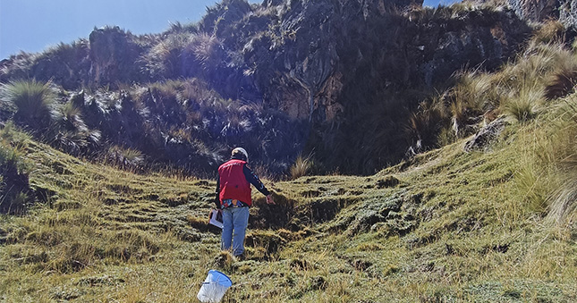La Contraloría General de la República detectó que la construcción del sistema de riego para nueve localidades del distrito de Rondos se realizó sin diseño hidráulico y gran parte de las familias no pueden usar este beneficio. Las deficiencias de este proyecto generaron un perjuicio económico que supera los S/ 321 mil. 