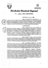 Vista preliminar de documento RDR Nº 3811-2023-GRSM-DRE