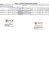 Vista preliminar de documento FORMATO_PAC 3FF
