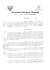 Vista preliminar de documento RDR Nº 3881-2023-GRSM-DRE