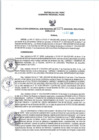 Vista preliminar de documento RGSR_2023_1076