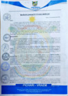 Vista preliminar de documento rgm579