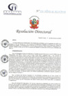 Vista preliminar de documento RD N° 235-11-2023-DE-HCLLH-MINSA