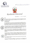 Vista preliminar de documento RD N° 238-11-2023-DE-HCLLH-MINSA