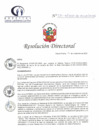 Vista preliminar de documento RD N° 239-11-2023-DE-HCLLH-MINSA