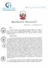 Vista preliminar de documento RD N° 256-11-2023-DE-HCLLH-MINSA