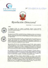 Vista preliminar de documento RD N° 259-11-2023-DE-HCLLH-MINSA