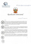 Vista preliminar de documento RD N° 55-03-2022-DE-HCLLH-MINSA