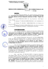 Vista preliminar de documento 220-2013-GRSM-PEAM-01.00