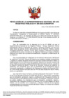 Vista preliminar de documento Resolución de la Superintendencia Nacional de los Registros Públicos N.° 209-2023-SUNARP/SN