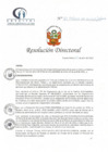 Vista preliminar de documento RD N° 83-04-2022-DE-HCLLH-MINSA