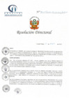 Vista preliminar de documento RD N° 84-04-2022-DE-HCLLH-MINSA