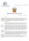 Vista preliminar de documento RD N° 89-04-2022-DE-HCLLH-MINSA