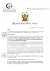 Vista preliminar de documento RD N° 96-05-2022-DE-HCLLH-MINSA