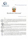 Vista preliminar de documento RD N° 101-05-2022-DE-HCLLH-MINSA