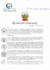 Vista preliminar de documento RD N° 110-05-2022-DE-HCLLH-MINSA