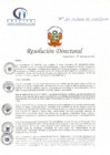 Vista preliminar de documento RD N° 114-05-2022-DE-HCLLH-MINSA