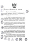 Vista preliminar de documento RM 453_