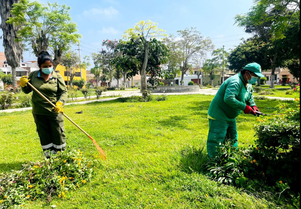 Con el firme propรณsito de preservar el orden y la limpieza en los espacios pรบblicos de la ciudad, desplegรณ un equipo de trabajo para llevar a cabo intensas labores de limpieza y mantenimiento