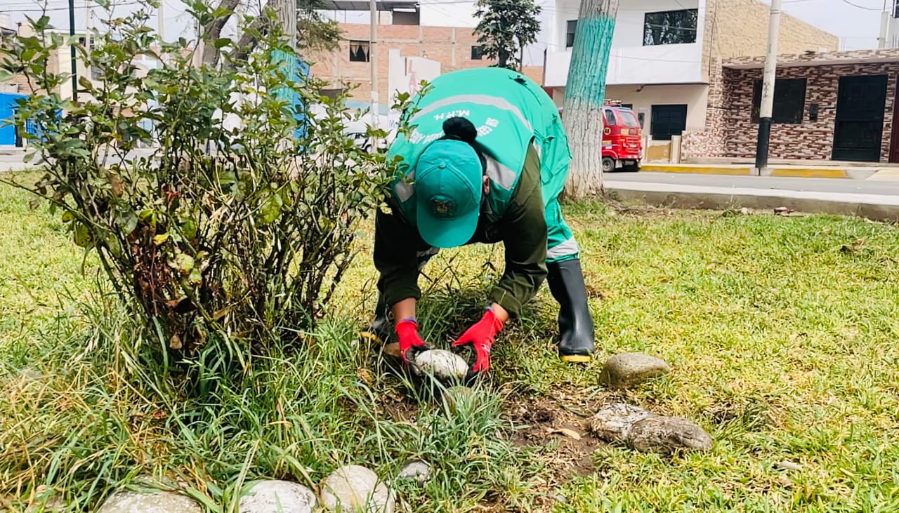 Con el firme propรณsito de preservar el orden y la limpieza en los espacios pรบblicos de la ciudad, desplegรณ un equipo de trabajo para llevar a cabo intensas labores de limpieza y mantenimiento
