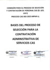 Vista preliminar de documento BASES DEL PROCESO DE SELECCION CAS