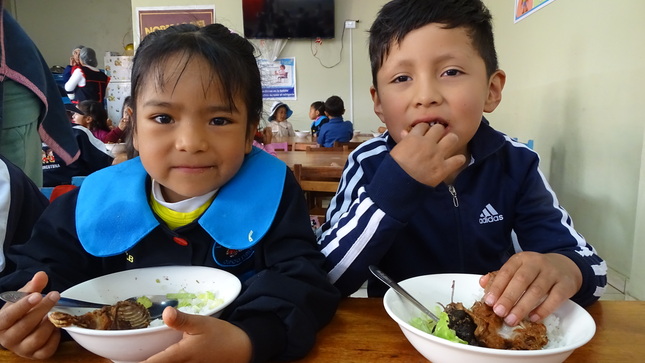 Servicio alimentario escolar