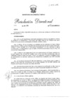 Vista preliminar de documento R.D. Nro 129-2016-MEM/OGA