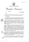 Vista preliminar de documento R.D. Nro 137-2017-MEM/OGA
