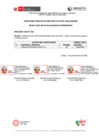 Vista preliminar de documento Proceso CAS 004 - Analista en Contrataciones del Estado[R][R][R]