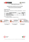 Vista preliminar de documento Proceso CAS 009 - Auditor Especialista en Control Gubernamental[R][R][R]