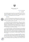 Vista preliminar de documento ResDirec-0008-2019/MEM-DGAAE