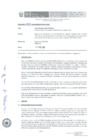 Vista preliminar de documento Auto Directoral Nro 0022-2020-MINEM/DGAAE