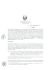 Vista preliminar de documento Resolución Directoral Nro  0038-2020-MINEM/DGAAE