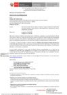 Vista preliminar de documento OF_N° 0815_2022_MINEM_DGAAE