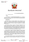 Vista preliminar de documento RD  313-2023