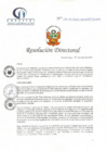 Vista preliminar de documento RD N° 119-05-2022-DE-HCLLH-MINSA