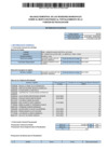 Vista preliminar de documento BALANCE SEMESTRAL DE LOS REGIDORES MUNICIPALES