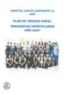 Vista preliminar de documento PLAN DE TRABAJO DE BRIGADISTAS HOSPITALARIOS - 2022
