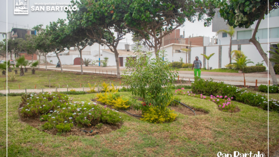 Trabajando conjunto con los vecinos de la 𝐔𝐑𝐁. 𝐁𝐔𝐍𝐆𝐀𝐋𝐎𝐖𝐒