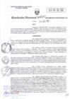 Vista preliminar de documento RD N°0130