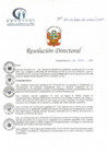 Vista preliminar de documento RD N° 141-06-2022-DE-HCLLH-MINSA