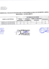 Vista preliminar de documento 11 Resultados Evaluación de Expedientes - Publicación preliminar de cuadro de mérito