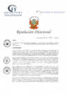 Vista preliminar de documento RD N° 143-06-2022-DE-HCLLH-MINSA