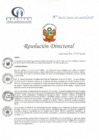 Vista preliminar de documento RD N° 146-06-2022-DE-HCLLH-MINSA