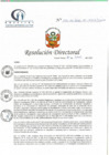 Vista preliminar de documento RD N° 153-06-2022-DE-HCLLH-MINSA