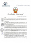 Vista preliminar de documento RD N° 155-06-2022-DE-HCLLH-MINSA