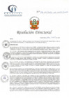 Vista preliminar de documento RD N° 156-06-2022-DE-HCLLH-MINSA