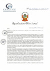 Vista preliminar de documento RD N° 157-06-2022-DE-HCLLH-MINSA